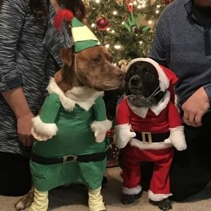 Meet your Posher, Kari